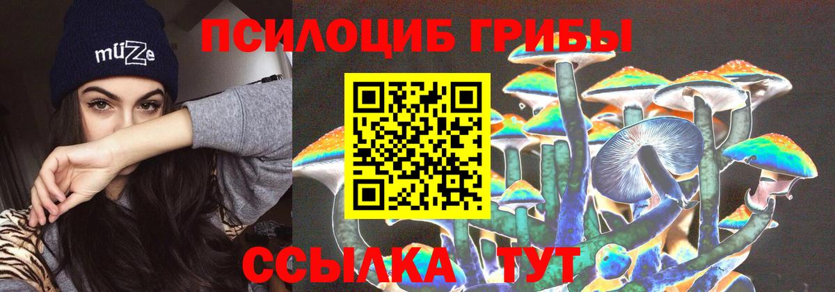 Псилоцибиновые грибы Psilocybine cubensis Луховицы